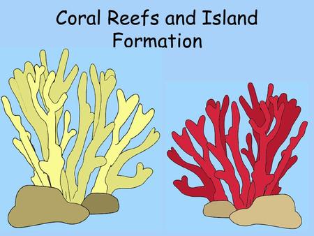 Coral Reefs and Island Formation. How old are today’s reefs?