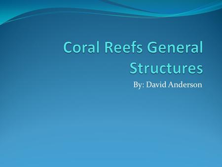 By: David Anderson. Structure of a Coral Each coral is lined with multiple polyps which are individual animals that make up the coral. Each polyp has.