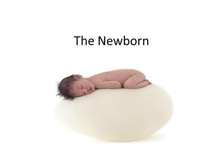 The Newborn.