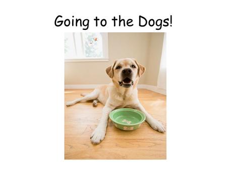 Going to the Dogs!. Presented by: Debi Martin – TVI/O&M for San Juan USD and puppy raiser for Guide Dogs for the Blind Leslie Thom – Guide Dog user Aerial.