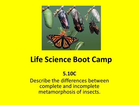 Life Science Boot Camp 5.10C