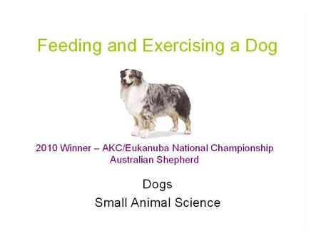 Healthy ___________ need adequate food and clean _____________. _______ water should be supplied to puppies beginning at _____ weeks of age.