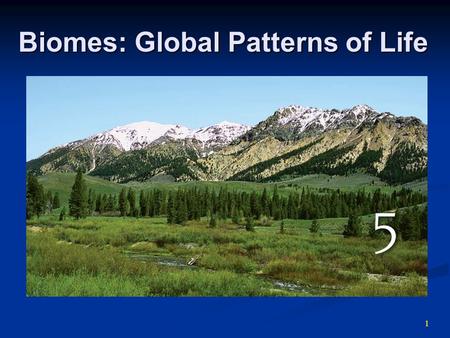 Biomes: Global Patterns of Life