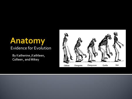 Evidence for Evolution By Katherine,Kathleen, Colleen, and Mikey.