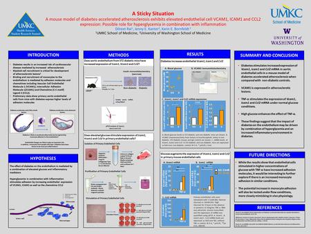 A Sticky Situation A mouse model of diabetes-accelerated atherosclerosis exhibits elevated endothelial cell VCAM1, ICAM1 and CCL2 expression: Possible.