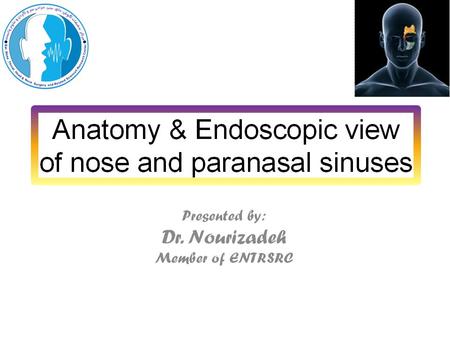 Anatomy The lateral wall of nose: Maxillary bone Ethmoid bone