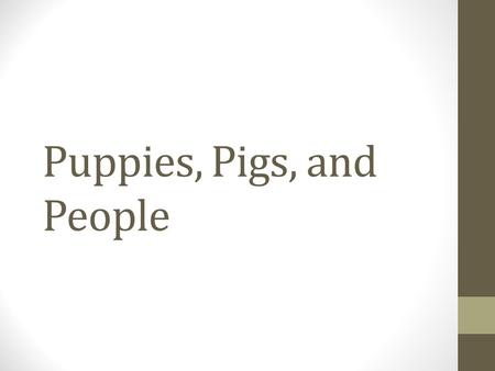 Puppies, Pigs, and People