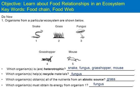 Do Now 1. Organisms from a particular ecosystem are shown below. Which organism(s) is (are) heterotrophic? _______________________________________. Which.