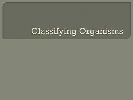 Classifying Organisms