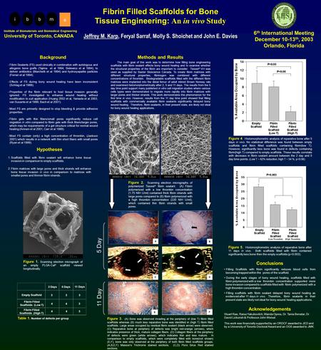 Fibrin Filled Scaffolds for Bone Tissue Engineering: An in vivo Study Methods and Results The main goal of this work was to determine how filling bone.