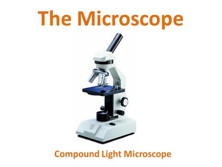 Compound Light Microscope