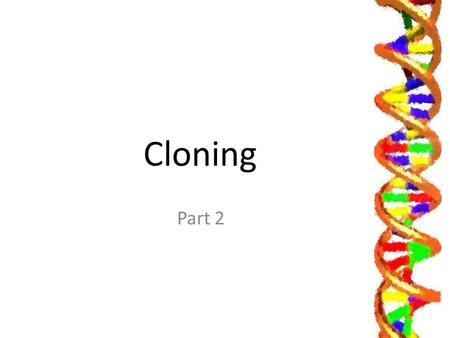 Cloning Part 2.