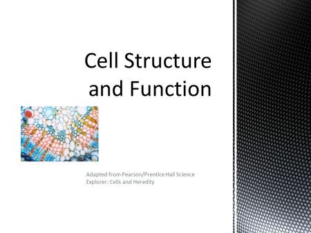 Cell Structure and Function