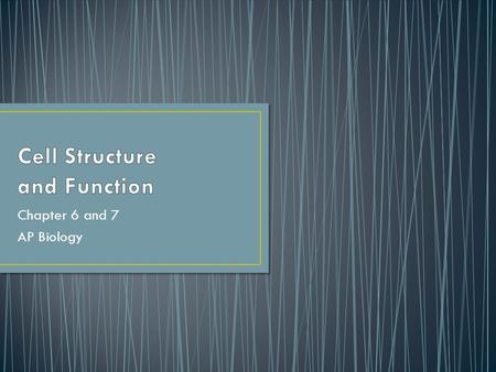 Cell Structure and Function