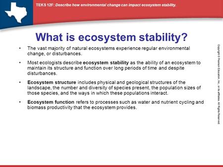 What is ecosystem stability?