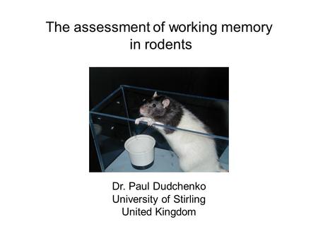 The assessment of working memory in rodents Dr. Paul Dudchenko University of Stirling United Kingdom.