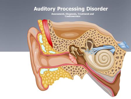 Auditory Processing Disorder Assessment, Diagnosis, Treatment and Controversies.