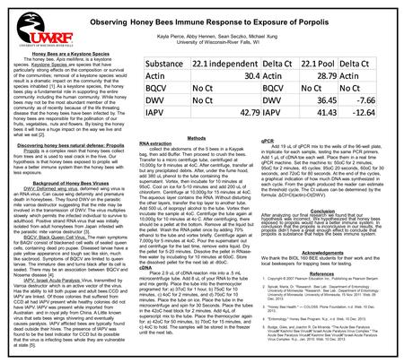 Observing Honey Bees Immune Response to Exposure of Porpolis Kayla Pierce, Abby Hennen, Sean Seczko, Michael Xung University of Wisconsin-River Falls,