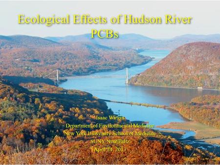 Ecological Effects of Hudson River PCBs Isaac Wirgin Department of Environmental Medicine New York University School of Medicine SUNY New Paltz April 24,