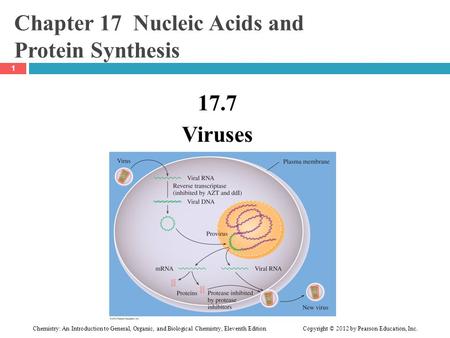 Chemistry: An Introduction to General, Organic, and Biological Chemistry, Eleventh Edition Copyright © 2012 by Pearson Education, Inc. Chapter 17 Nucleic.