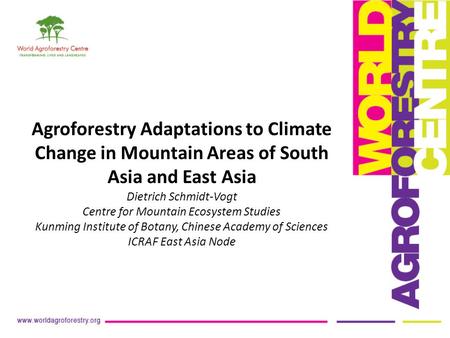 Agroforestry Adaptations to Climate Change in Mountain Areas of South Asia and East Asia Dietrich Schmidt-Vogt Centre for Mountain Ecosystem Studies Kunming.