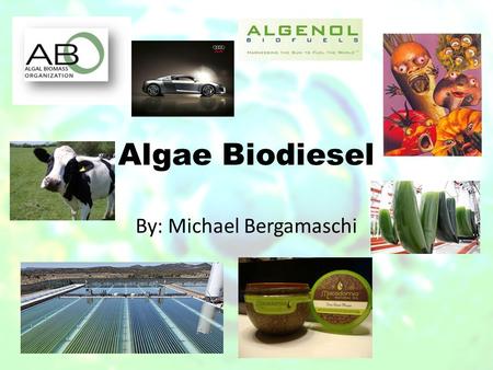 Algae Biodiesel By: Michael Bergamaschi. Overview History of algae Current state of algae Organizations Pros/Cons Project 1-Solix Project 2-OriginOil.