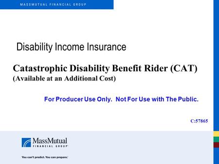 Disability Income Insurance