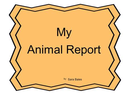 My Animal Report by Sara Bales. Table of Contents Picture ?.................................... p.3 What Does My Animal Look Like?......p.4 What Does.