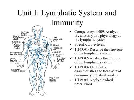 Unit I: Lymphatic System and Immunity Competency: 1H09. Analyze the anatomy and physiology of the lymphatic system. Specific Objectives: 1H09.01- Describe.