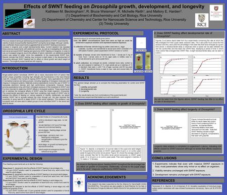 Previous research aiming at addressing biomedical applications of SWNT examined the viability of adult Drosophila after feeding SWNT during the larval.