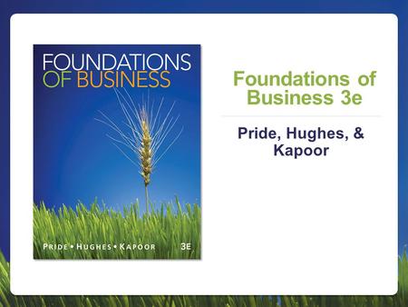 Foundations of Business 3e