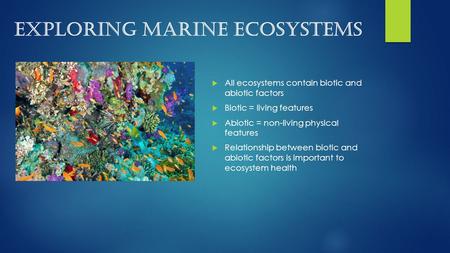 EXPLORING MARINE ECOSYSTEMS