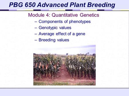 PBG 650 Advanced Plant Breeding