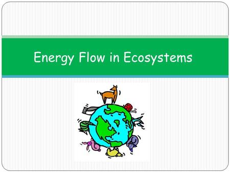 Energy Flow in Ecosystems