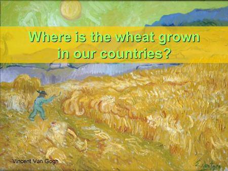 Where is the wheat grown in our countries? Vincent Van Gogh.