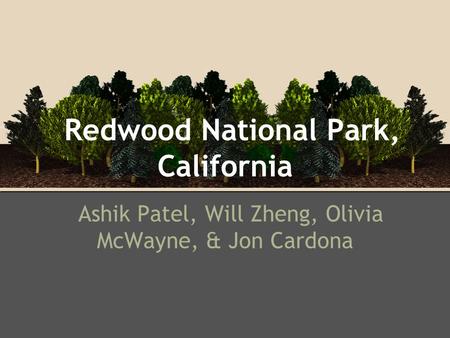 Redwood National Park, California Ashik Patel, Will Zheng, Olivia McWayne, & Jon Cardona.