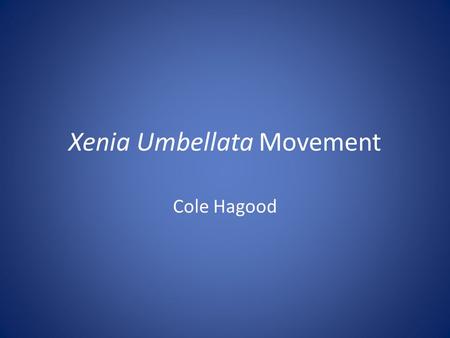 Xenia Umbellata Movement Cole Hagood. Focus and Background Xenia Umbellata Soft coral Pulsing Movement and division