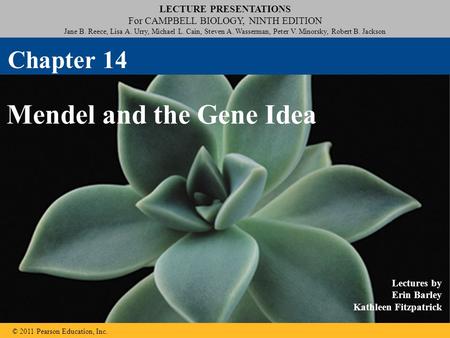 Mendel and the Gene Idea