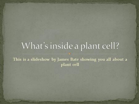 This is a slideshow by James Bate showing you all about a plant cell.