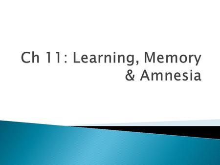  Neuroplastic processes related to the ability of the brain to change its functioning in response to experience  Learning ◦ How experience changes the.