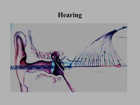 Hearing.