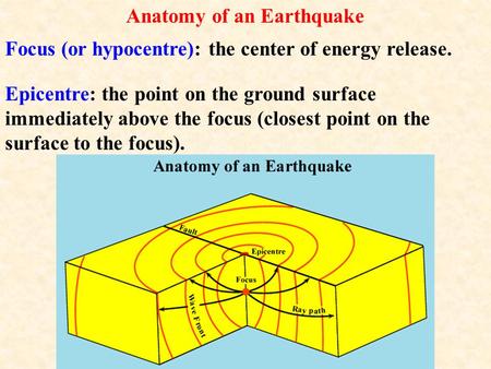 Anatomy of an Earthquake Focus (or hypocentre): the center of energy release. Epicentre: the point on the ground surface immediately above the focus (closest.