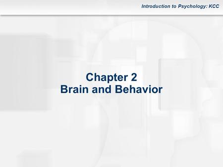 Chapter 2 Brain and Behavior