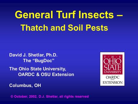 General Turf Insects – Thatch and Soil Pests David J. Shetlar, Ph.D. The “BugDoc” The Ohio State University, OARDC & OSU Extension Columbus, OH © October,