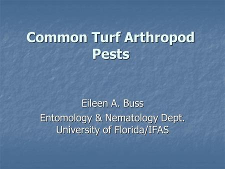 Common Turf Arthropod Pests Eileen A. Buss Entomology & Nematology Dept. University of Florida/IFAS.