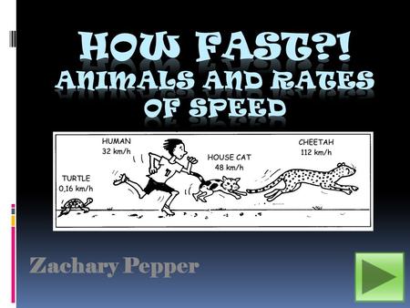 Zachary Pepper.  2 nd Grade  Read the information given, and then answer the questions.  Objective:  DESCRIPTION: The student will learn how fast.