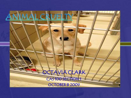 OCTAVIA CLARK CAS 100 SECTION 1 OCTOBER 8 2009. Overview/Objectives  Introduction (video)  Location  Statistics  Types  Facts  Cause/Effect  Impact.