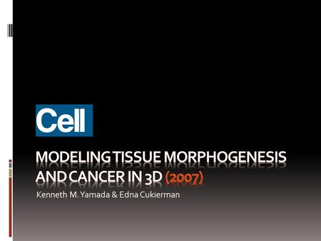 Kenneth M. Yamada & Edna Cukierman. Introduction 2D cell cultures Studies in standard cell culture have produced many important conceptual advances Nevertheless,