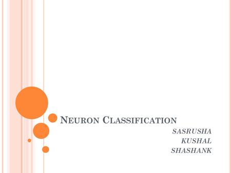 N EURON C LASSIFICATION SASRUSHA KUSHAL SHASHANK.