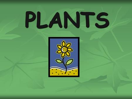 PLANTS.